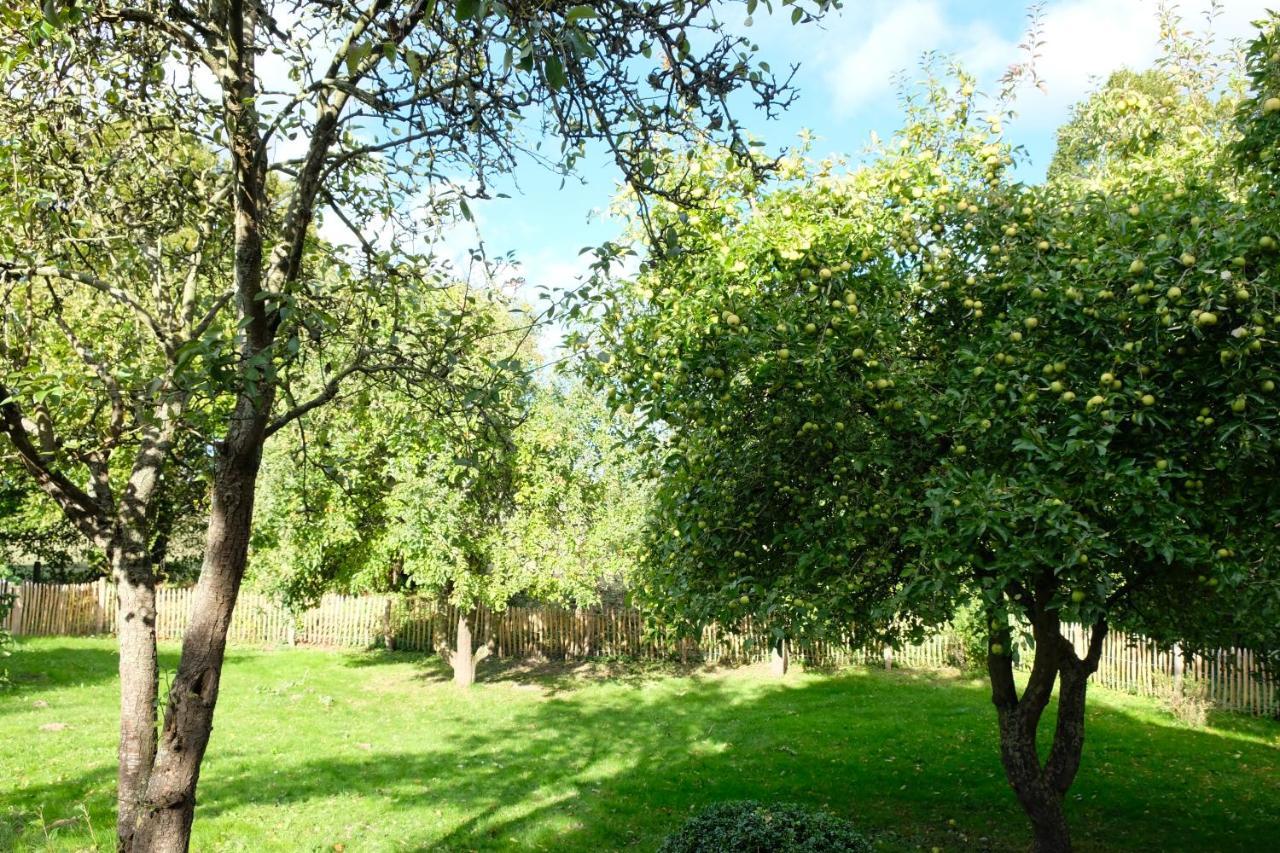 Urlaubsoase Ostsee Hohen Schoenberg Kültér fotó