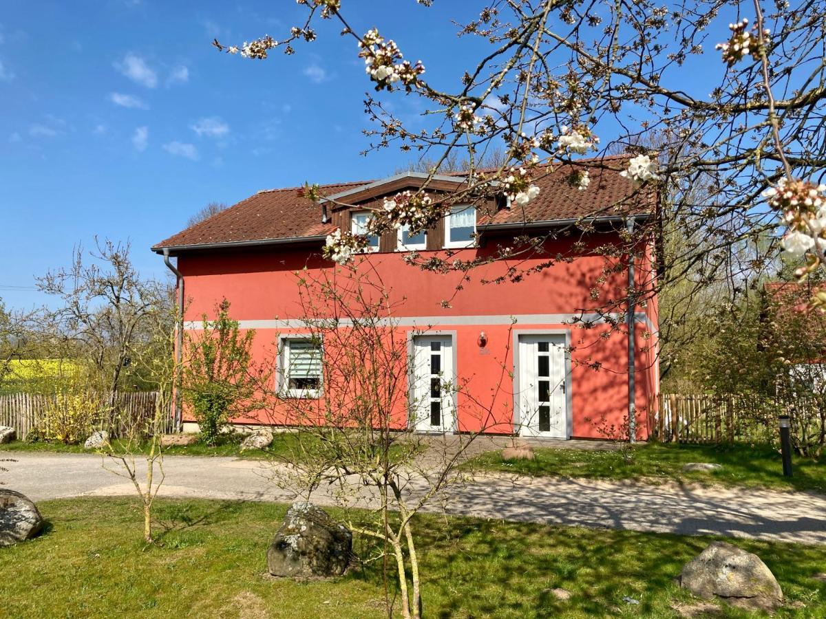 Urlaubsoase Ostsee Hohen Schoenberg Kültér fotó
