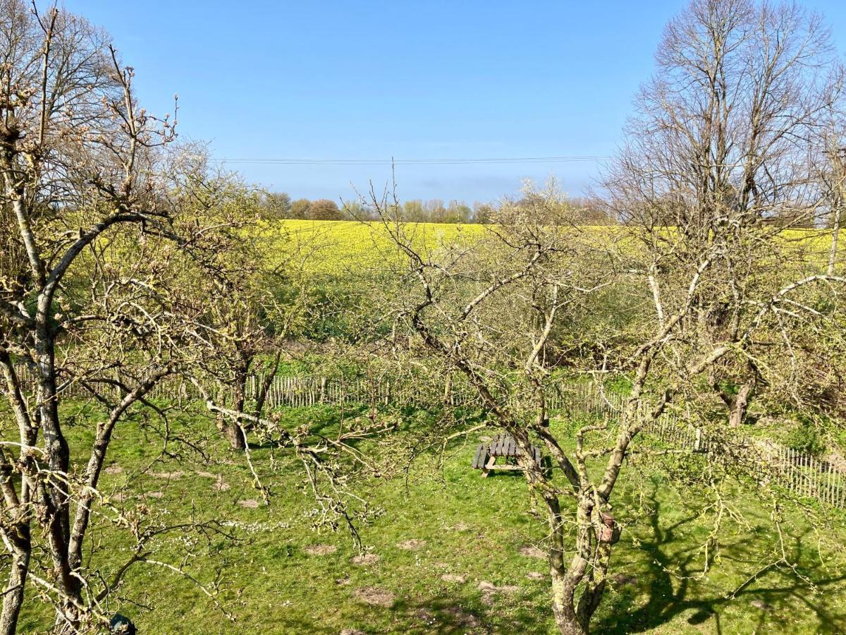 Urlaubsoase Ostsee Hohen Schoenberg Kültér fotó