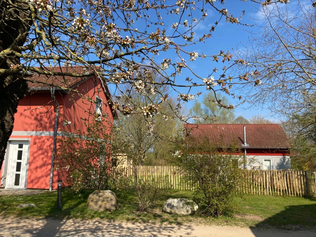 Urlaubsoase Ostsee Hohen Schoenberg Kültér fotó